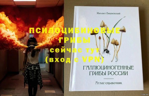 экстази Арсеньев